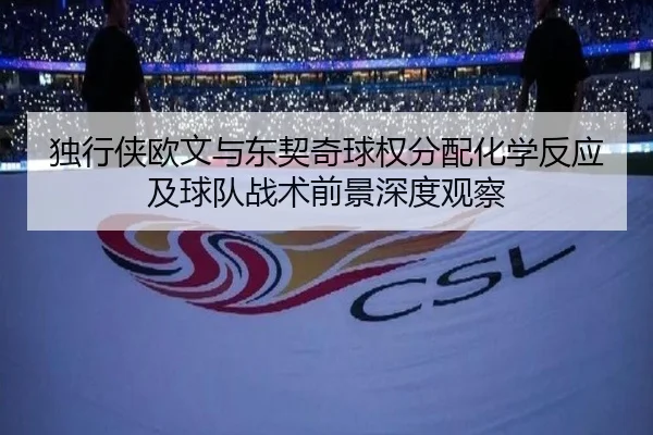 独行侠欧文与东契奇球权分配化学反应及球队战术前景深度观察
