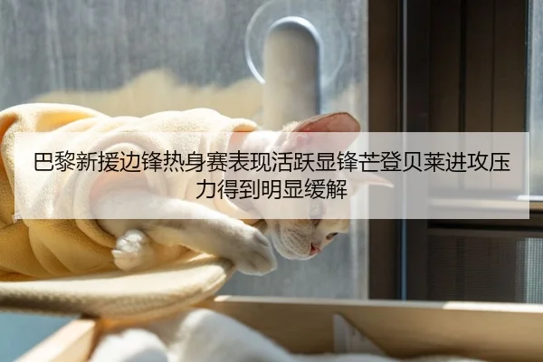 巴黎新援边锋热身赛表现活跃显锋芒登贝莱进攻压力得到明显缓解